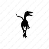 Velociraptor Raptor Dinosaur