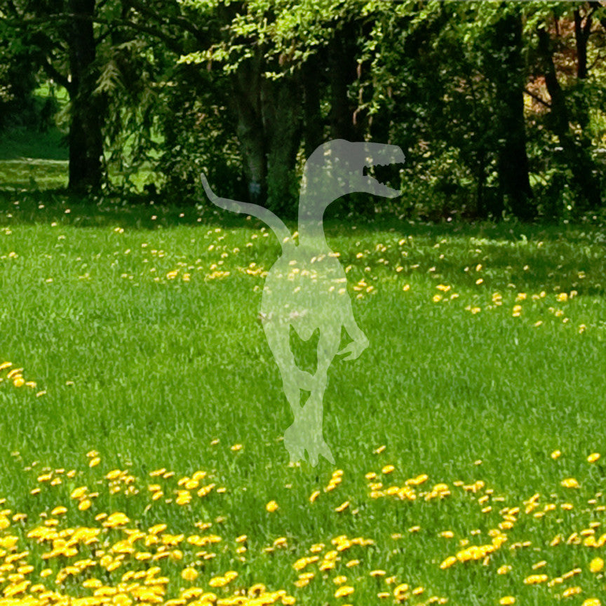 Velociraptor Raptor Dinosaur