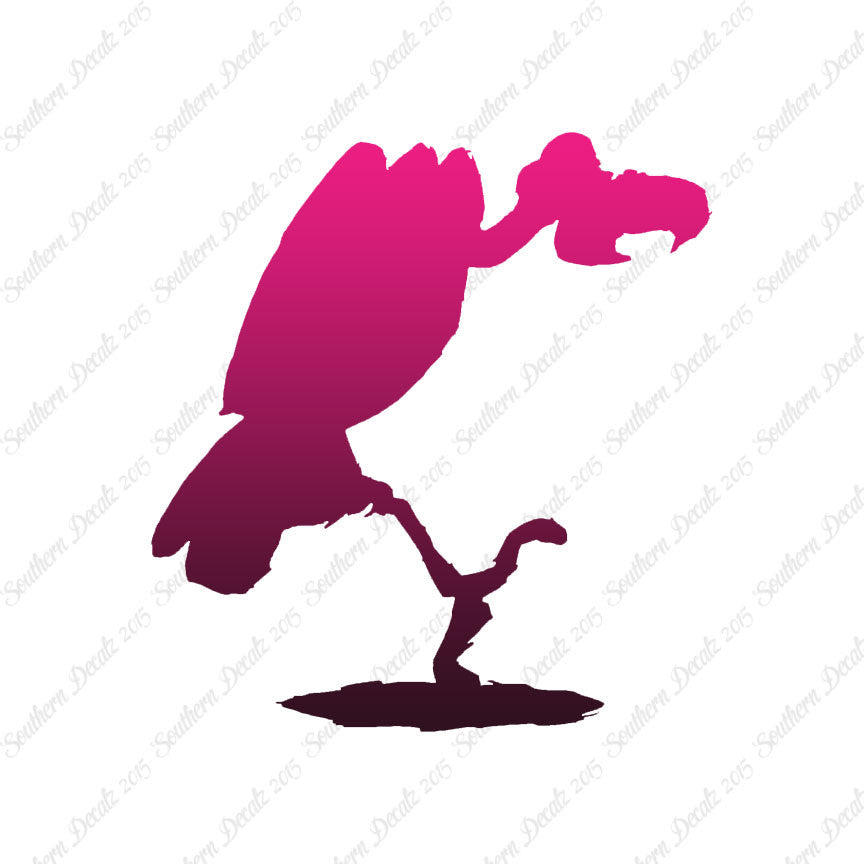 Vulture Condor Perching