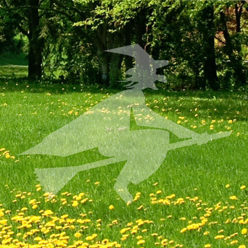 Witch Flying Broomstick