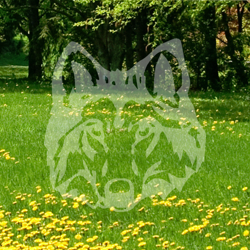 Dog Wolf Head