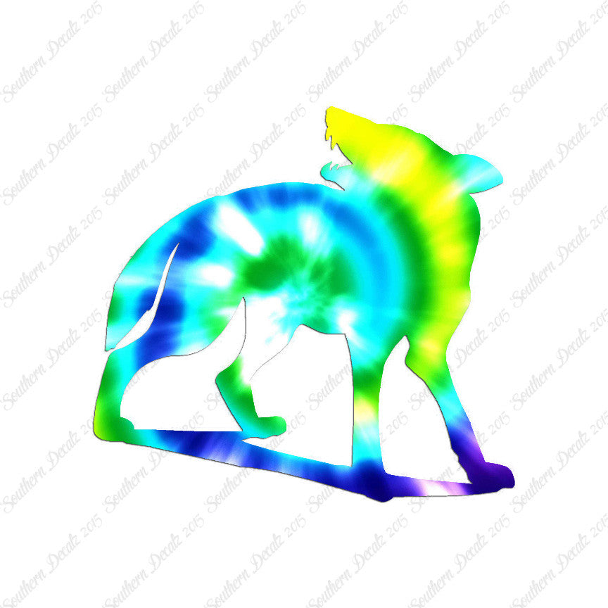 Coyote Wolf Dog