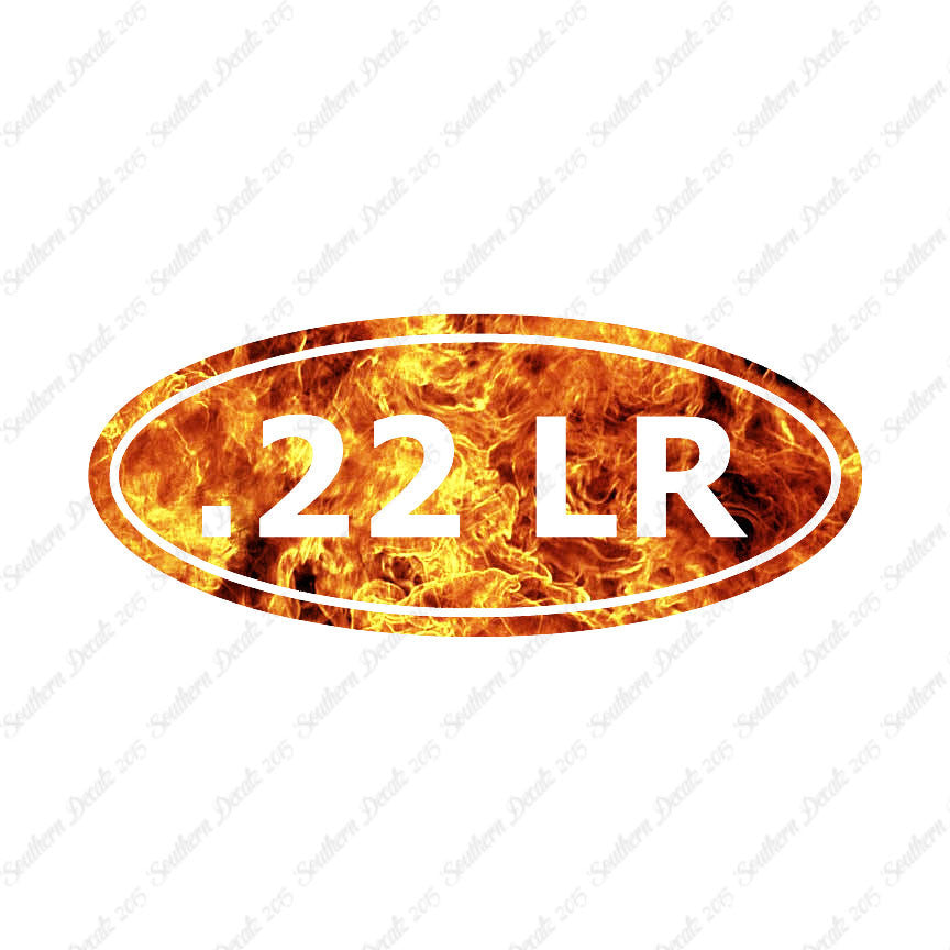Ammo .22 LR