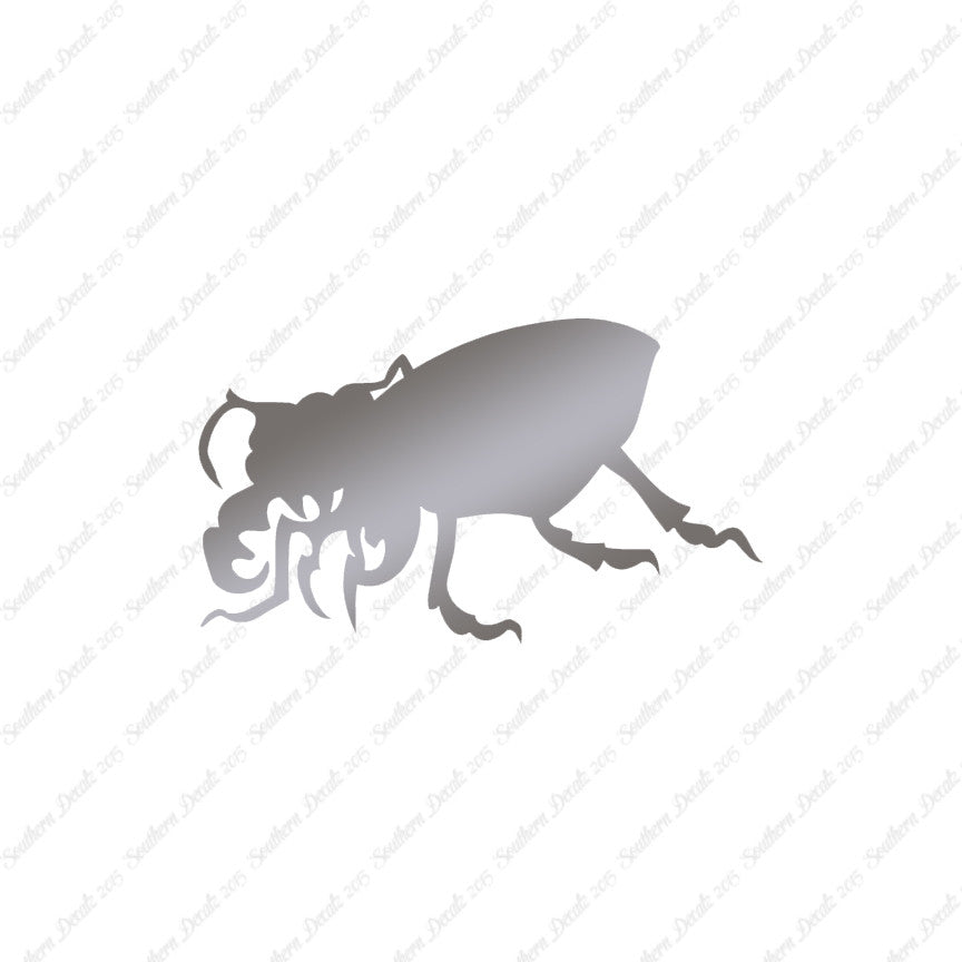 Beetle Insect Bug
