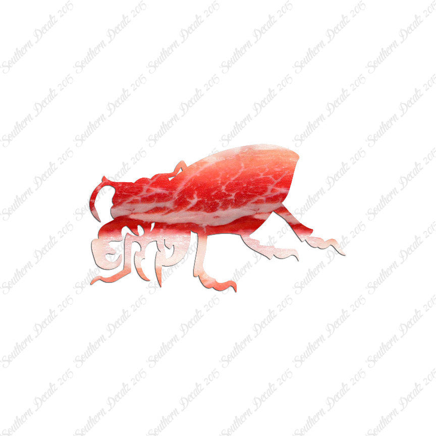 Beetle Insect Bug