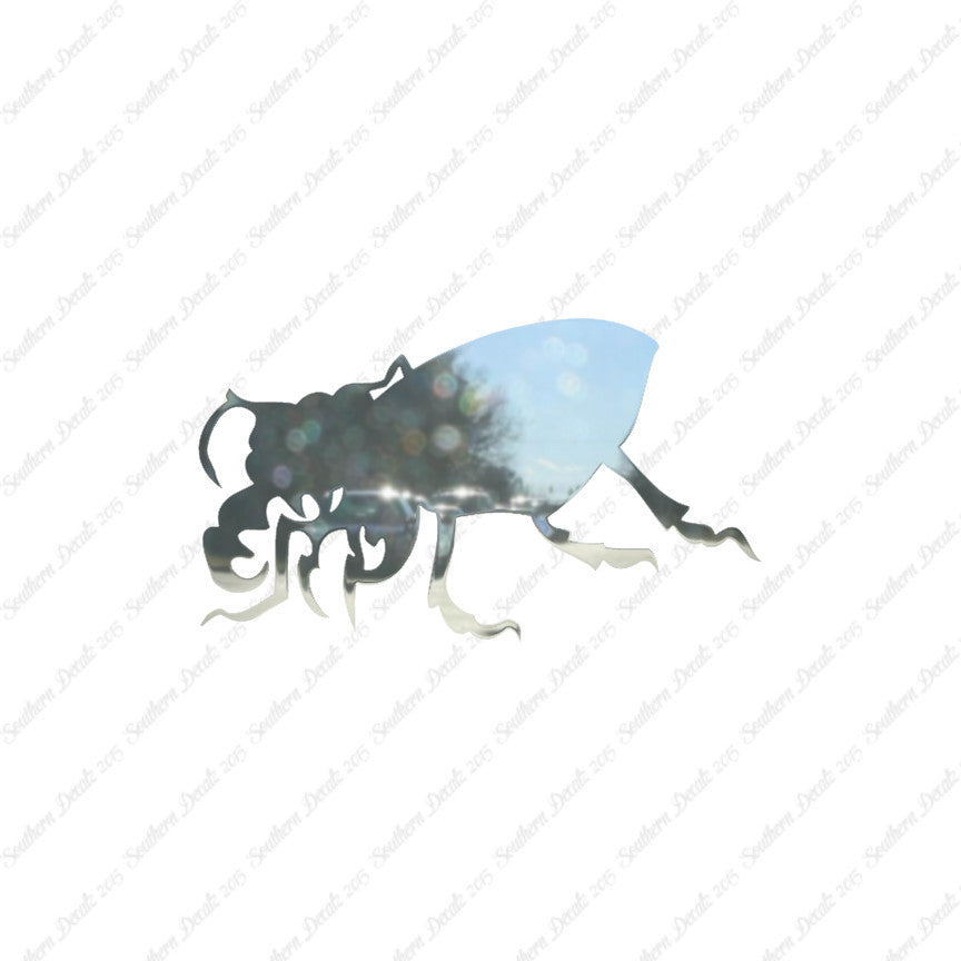 Beetle Insect Bug