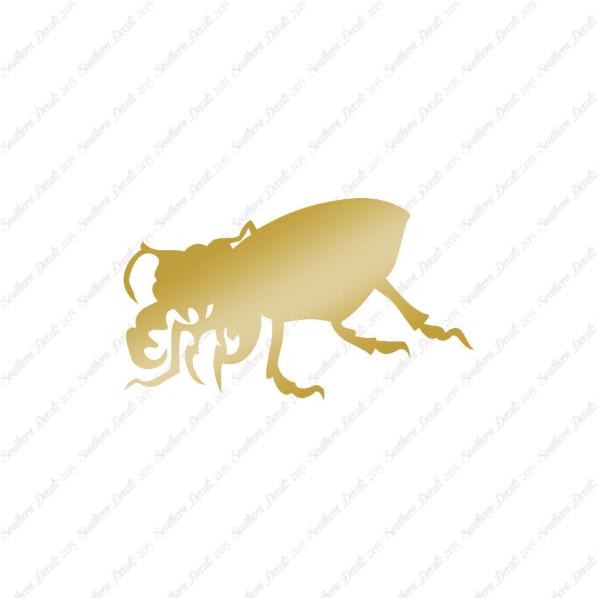 Beetle Insect Bug