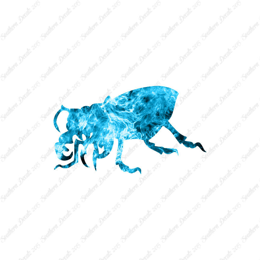 Beetle Insect Bug