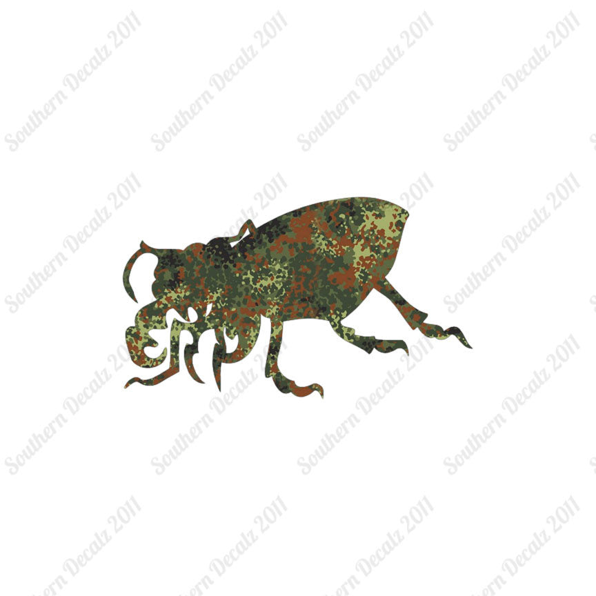 Beetle Insect Bug
