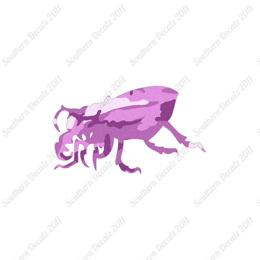 Beetle Insect Bug