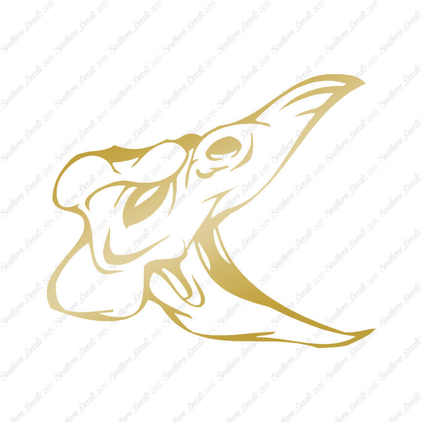 Skull Bird Monster