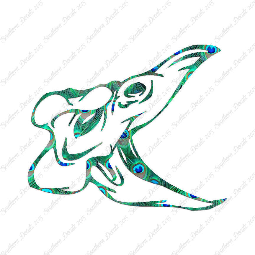 Skull Bird Monster
