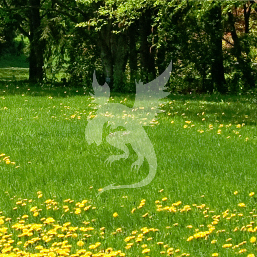 Dragon Flying Reptile