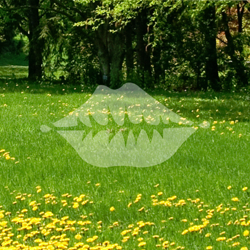 Lips Lipstick Kiss