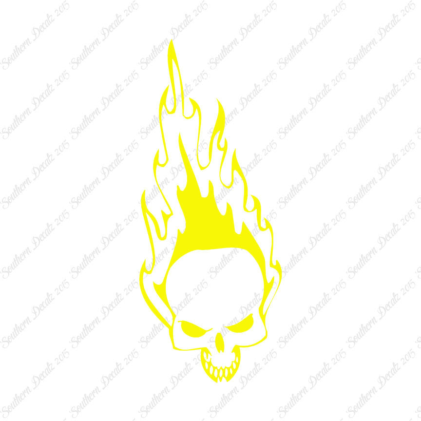 Skull Fire Flames Art