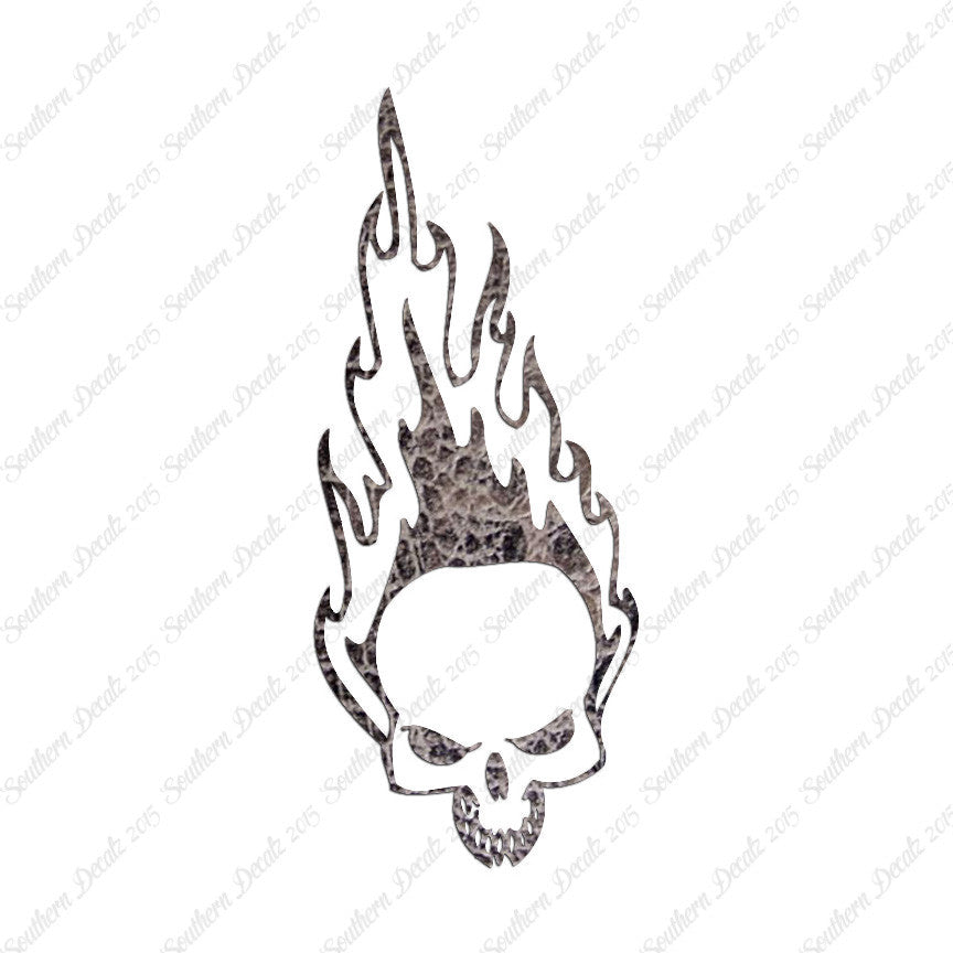 Skull Fire Flames Art