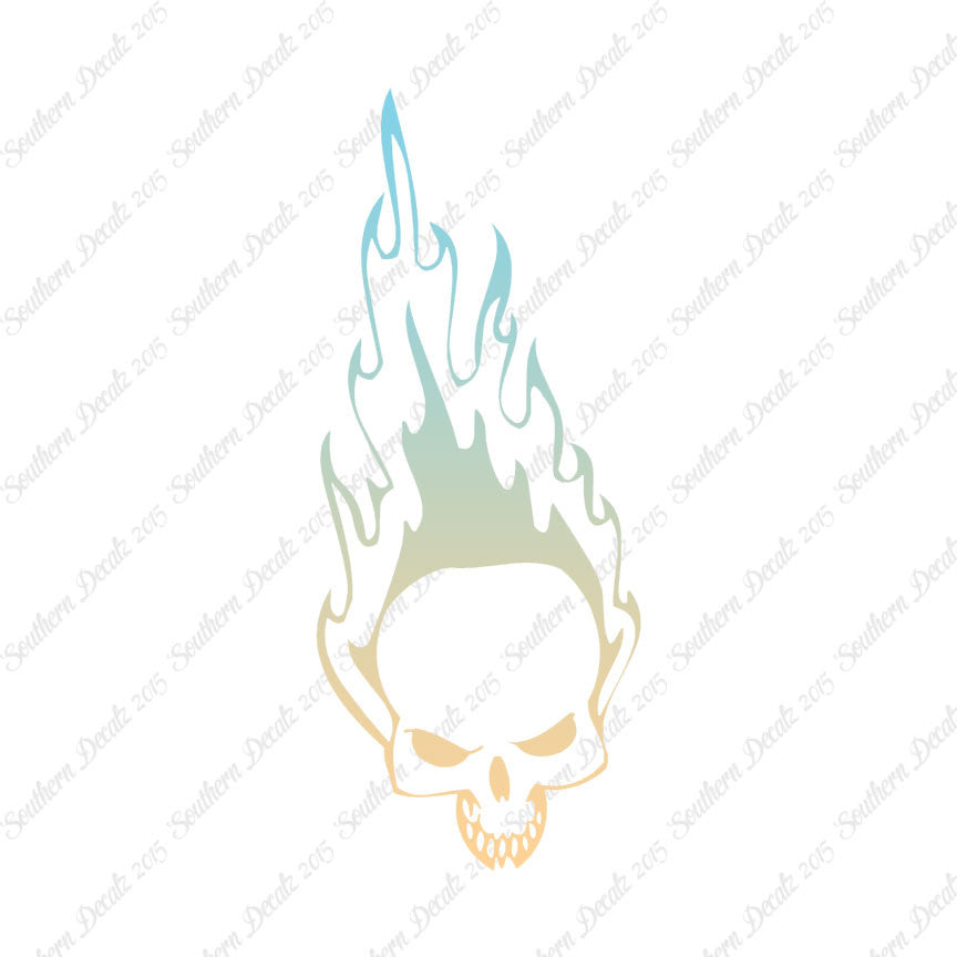 Skull Fire Flames Art