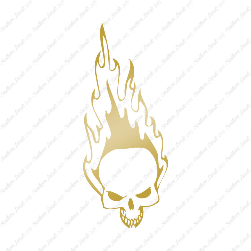 Skull Fire Flames Art