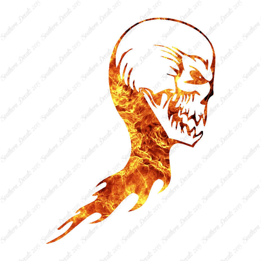Skull Skeleton Flame Fire