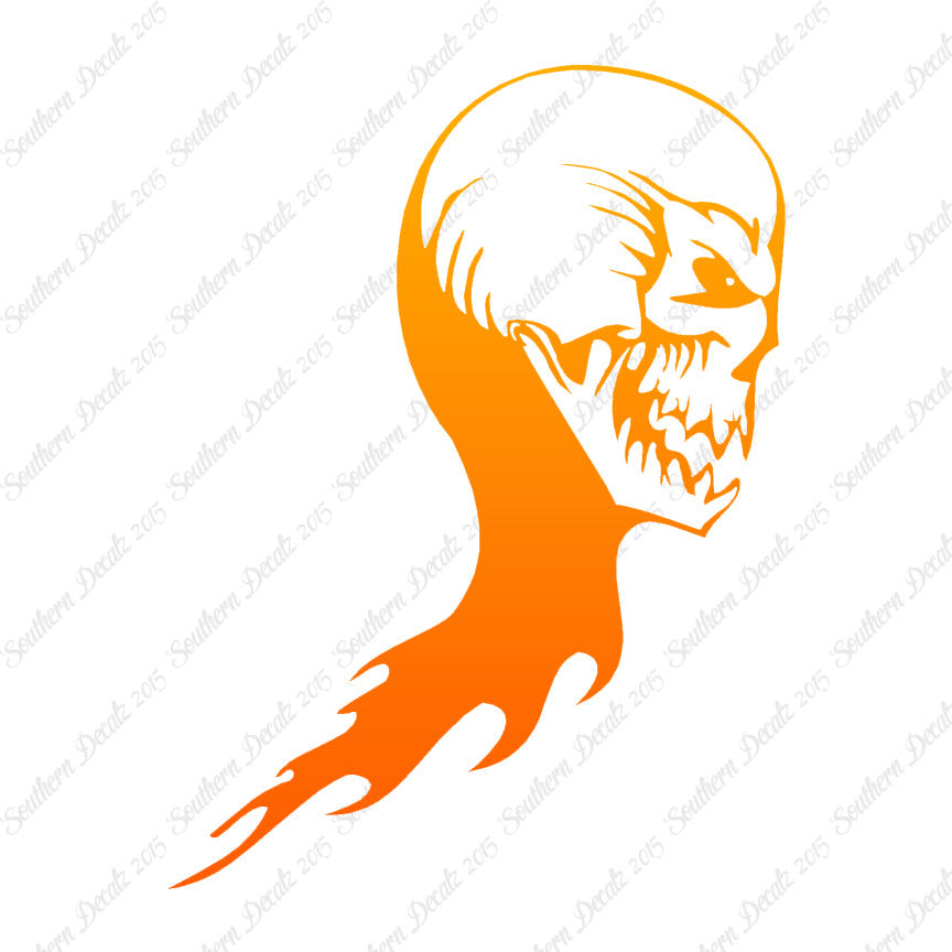 Skull Skeleton Flame Fire