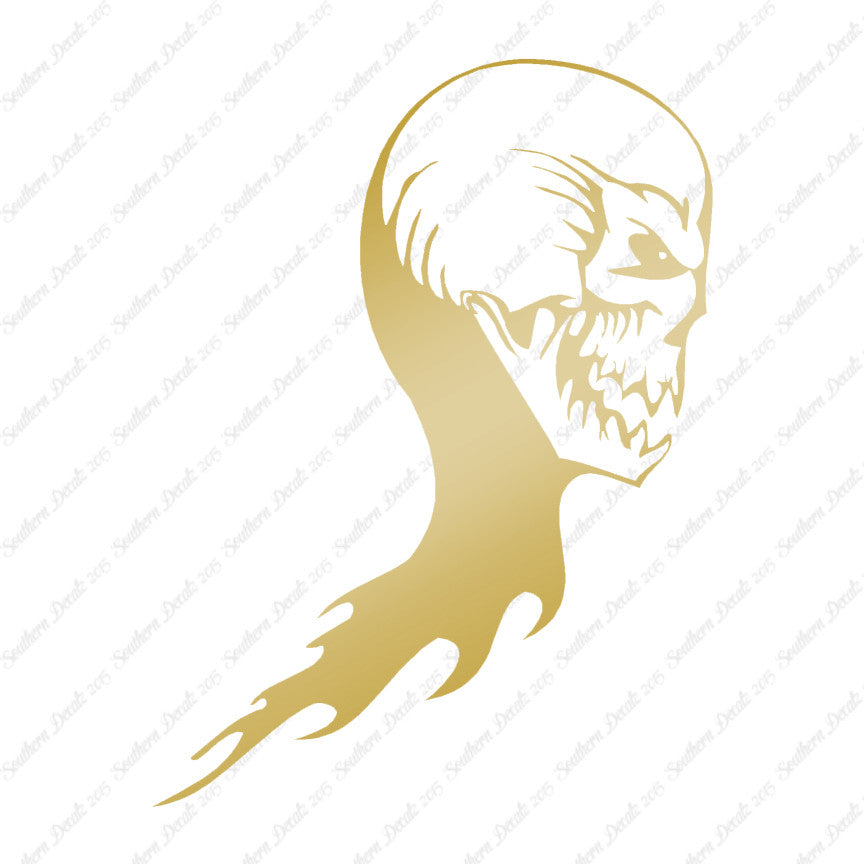 Skull Skeleton Flame Fire