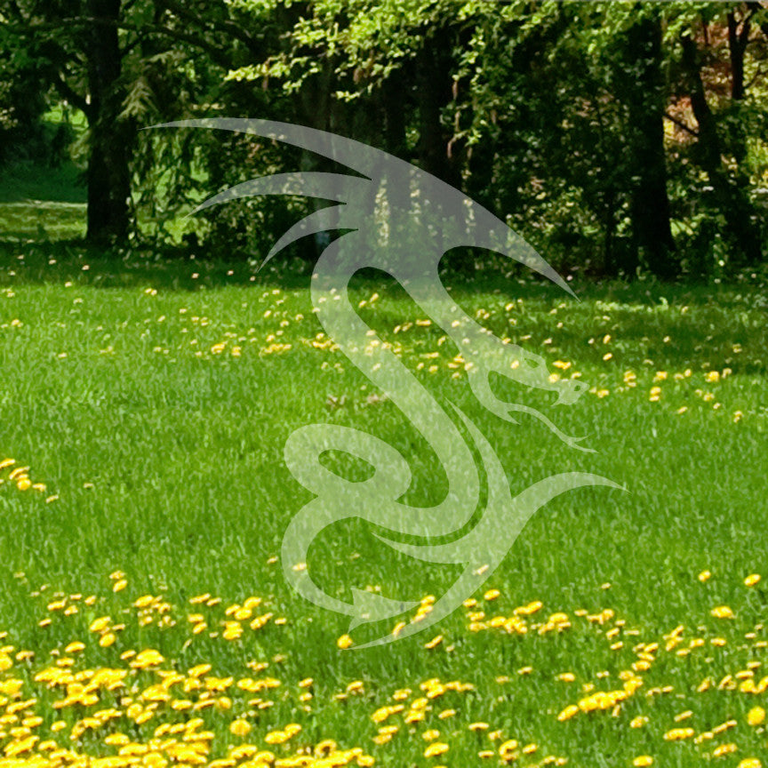 Flying Snake Reptile Dragon