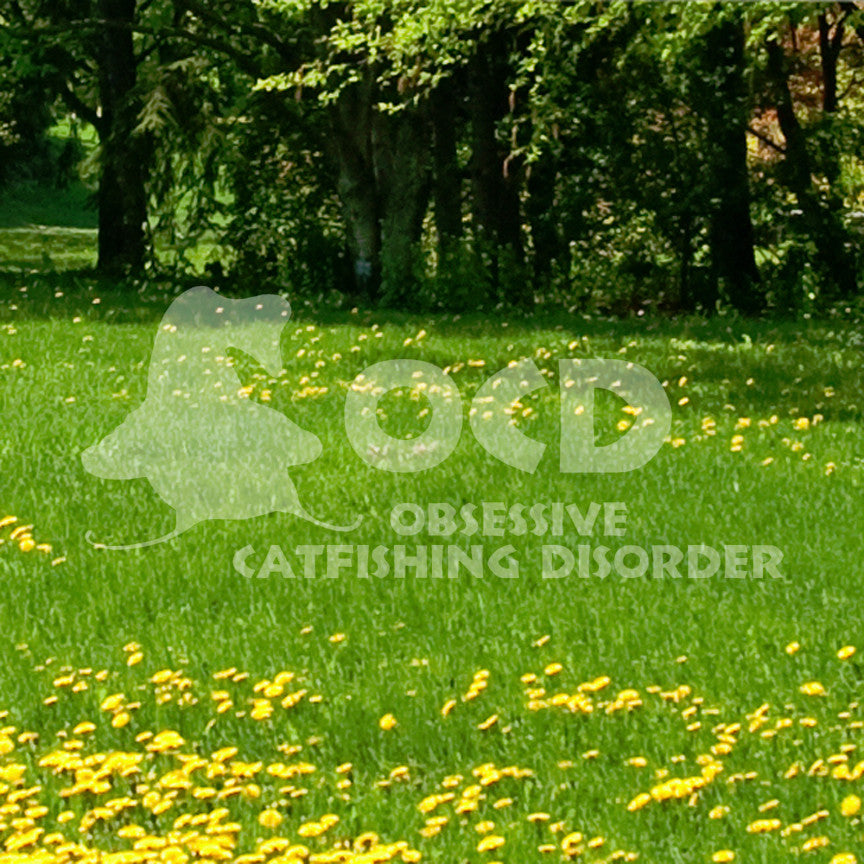 Catfishing Disorder OCD Fish