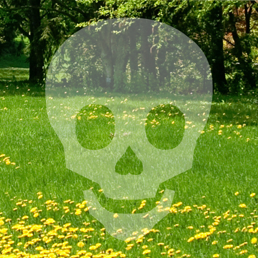 Skull Happy Cute