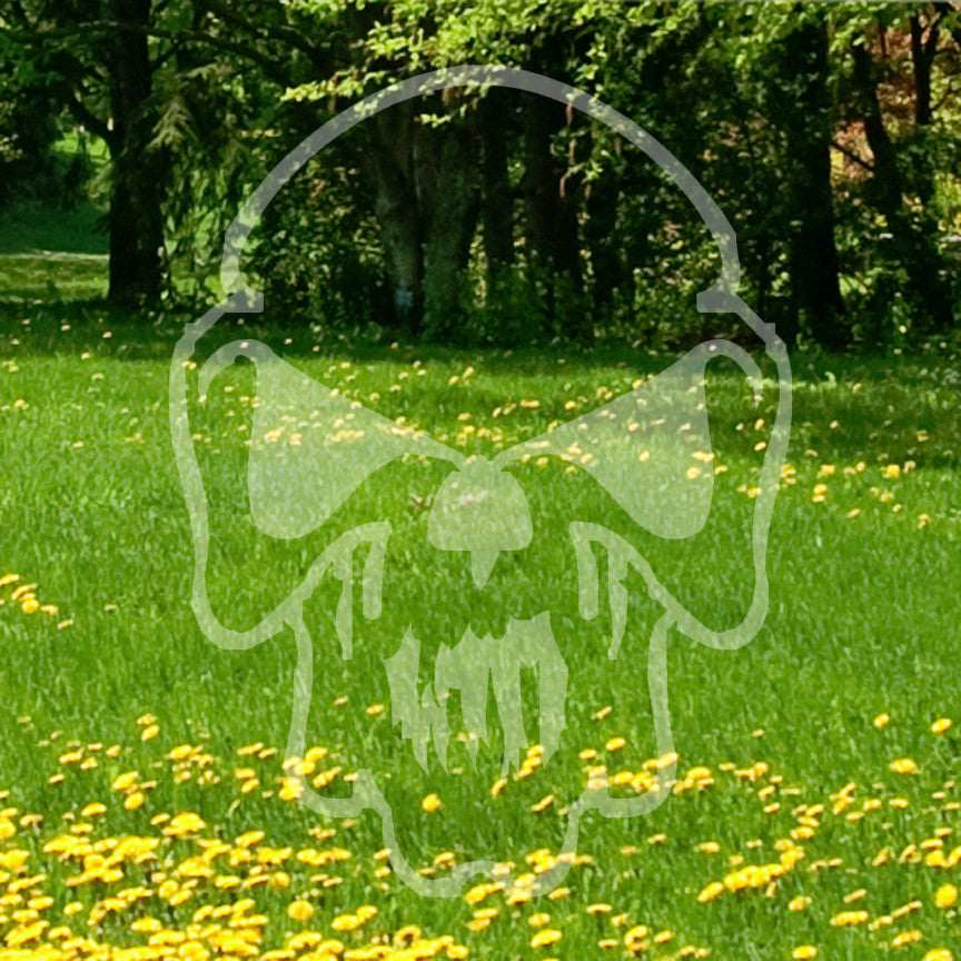 Monster Skull