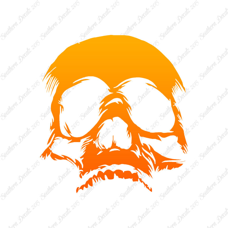 Skull Bones Skeleton