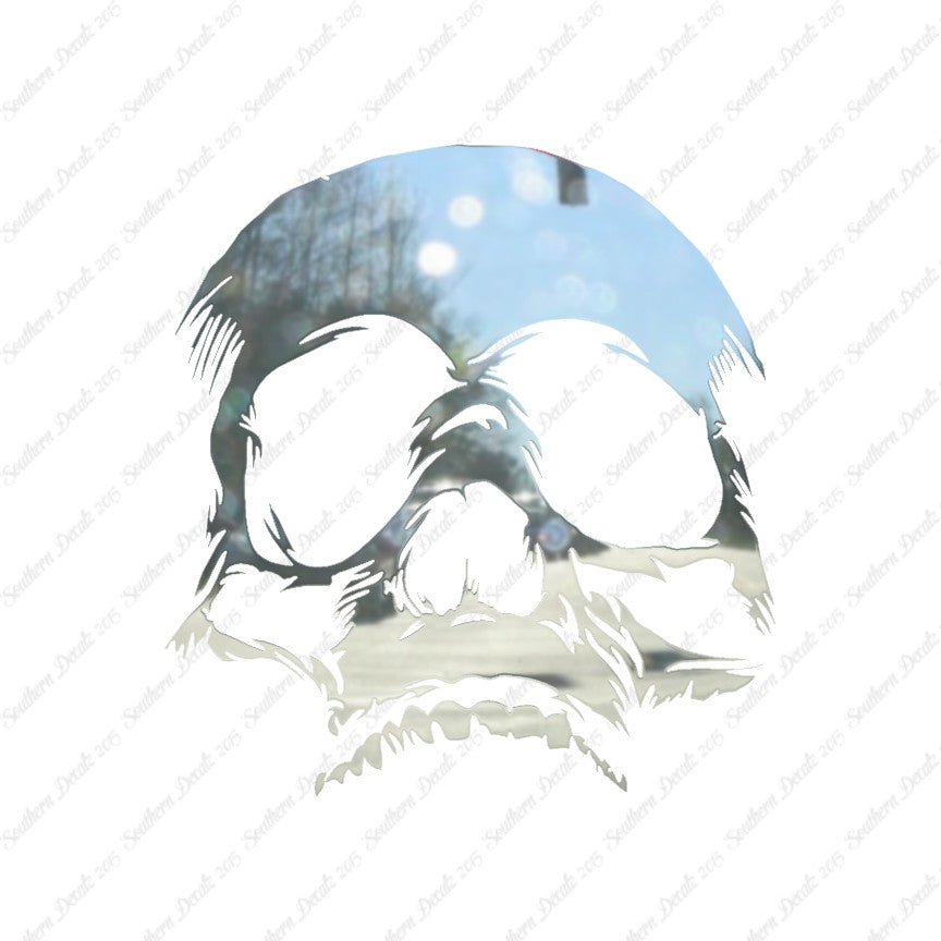 Skull Bones Skeleton