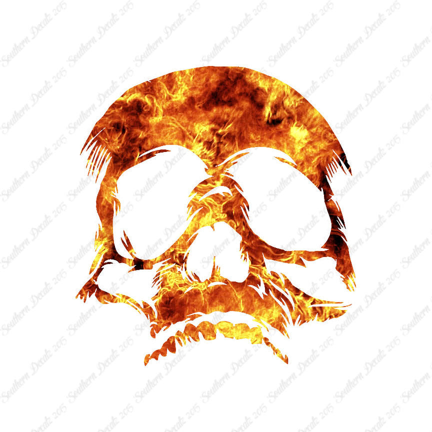 Skull Bones Skeleton