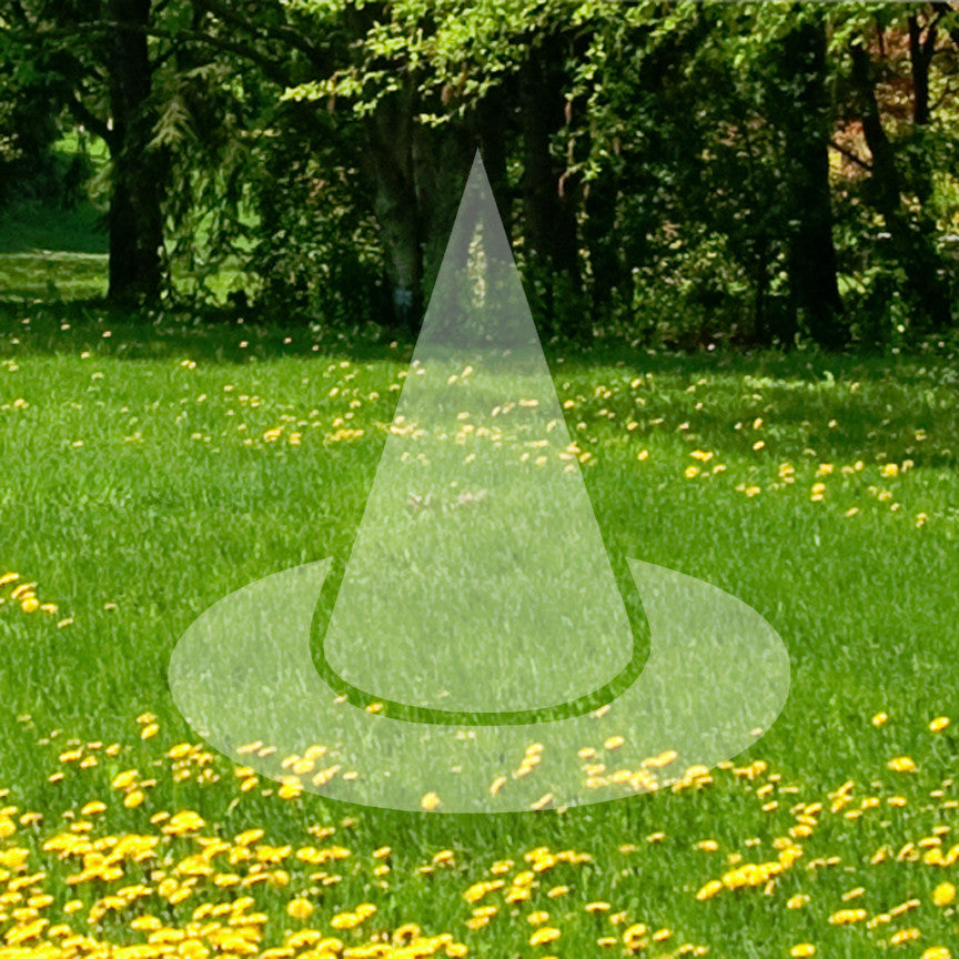 Witch Hat