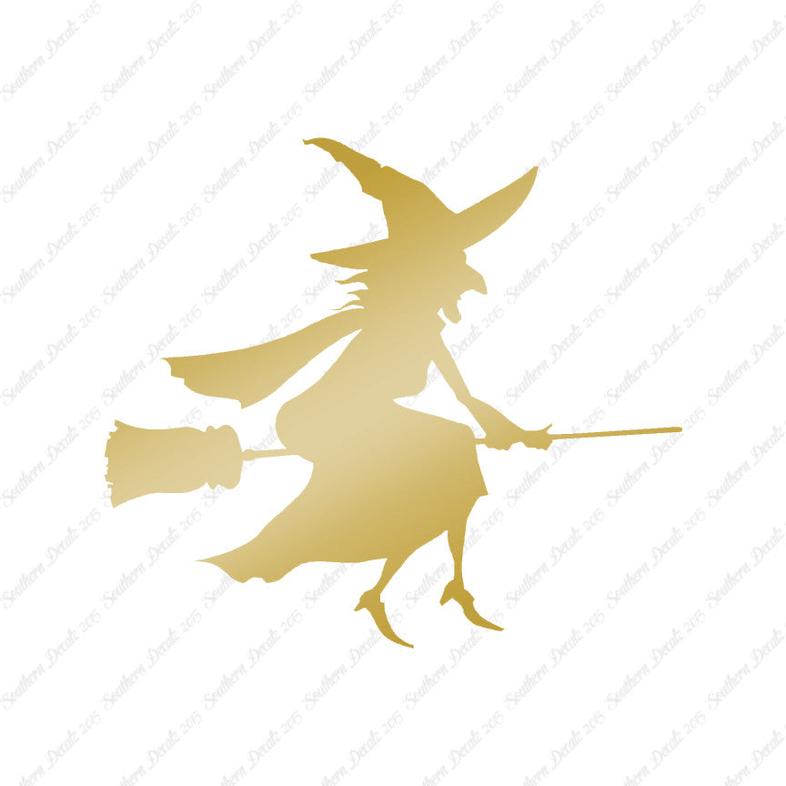 Witch Broomstick Flying