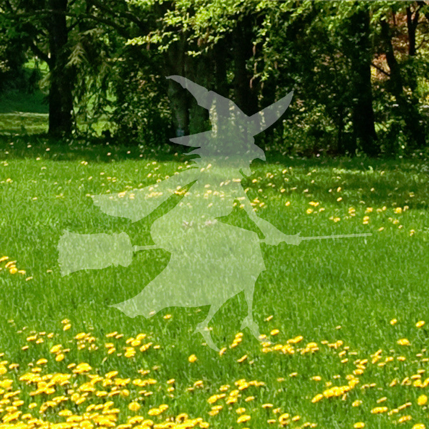 Witch Broomstick Flying