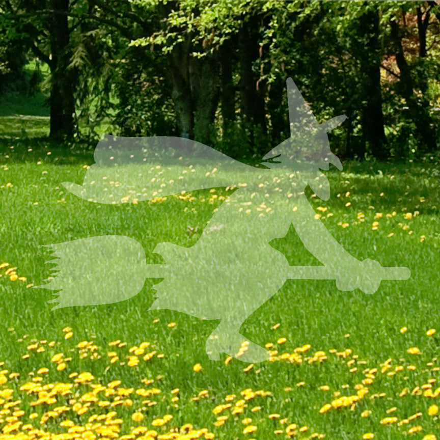 Broomstick Flying Witch