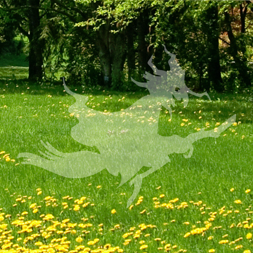 Witch Art Broomstick