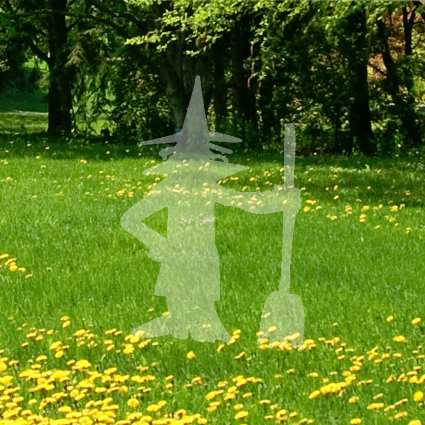 Witch Broomstick