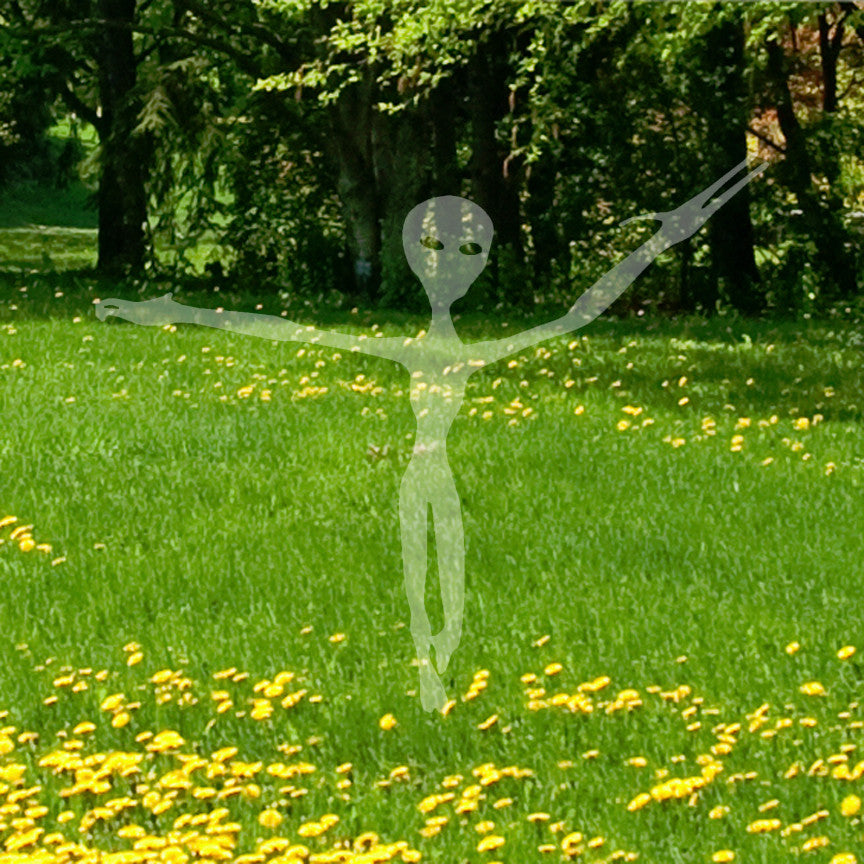 Alien Extraterrestrial Life