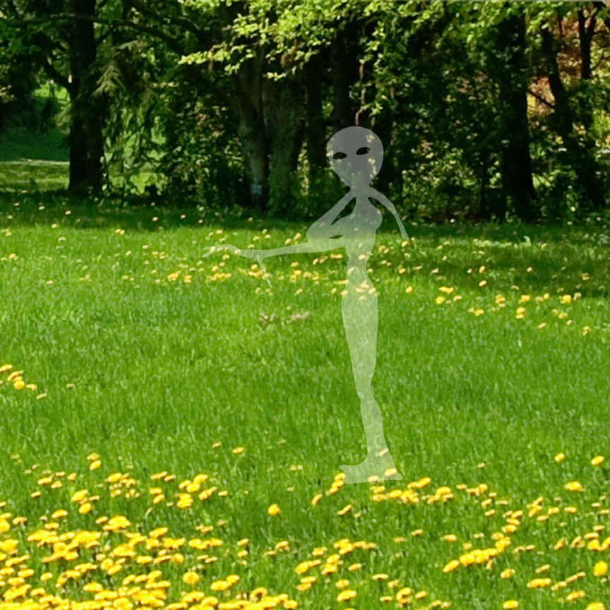 Alien E.T. Extraterrestrial Life