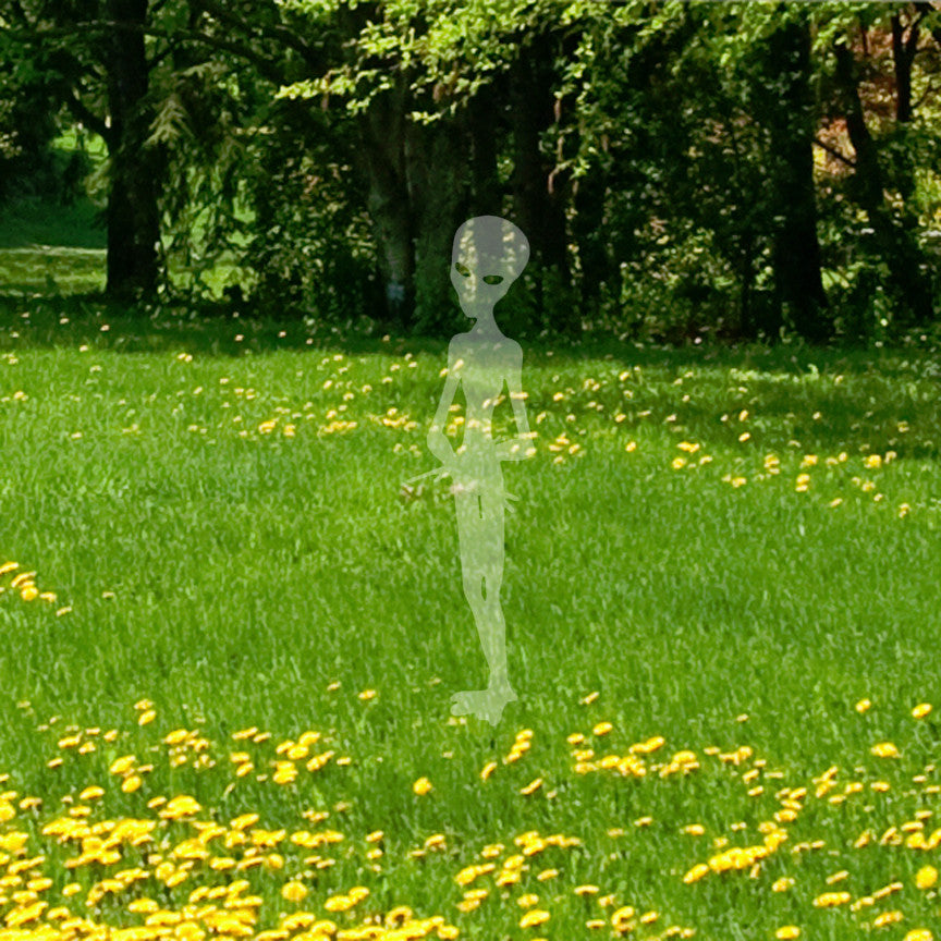 Alien Extraterrestrial Life E.T.