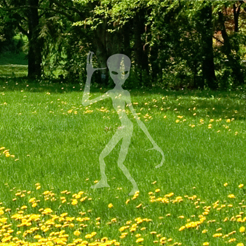 Martian Alien Extraterrestrial
