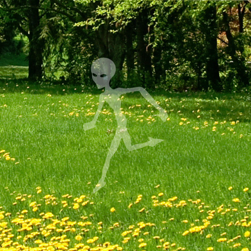 Alien Martian Extraterrestrial