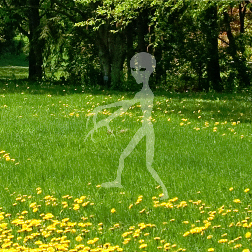 Martian Extraterrestrial Alien
