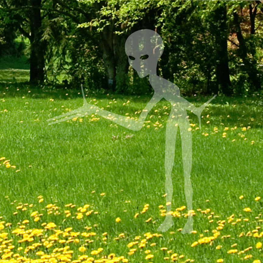 Martian Alien E.T.