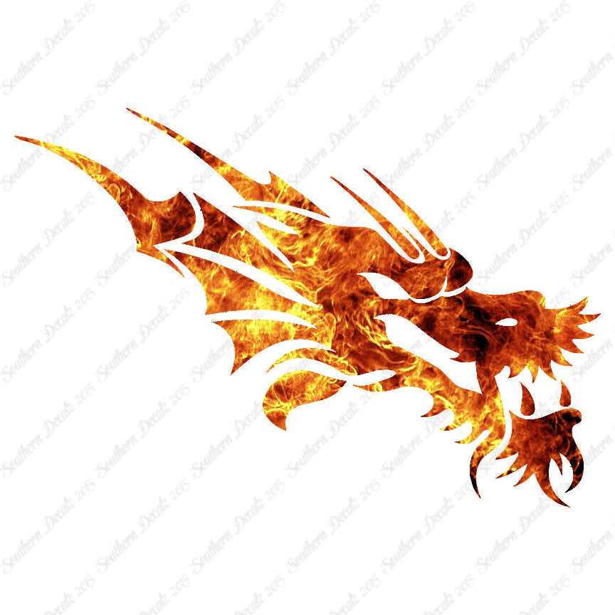 Chinese Tribal Dragon Head