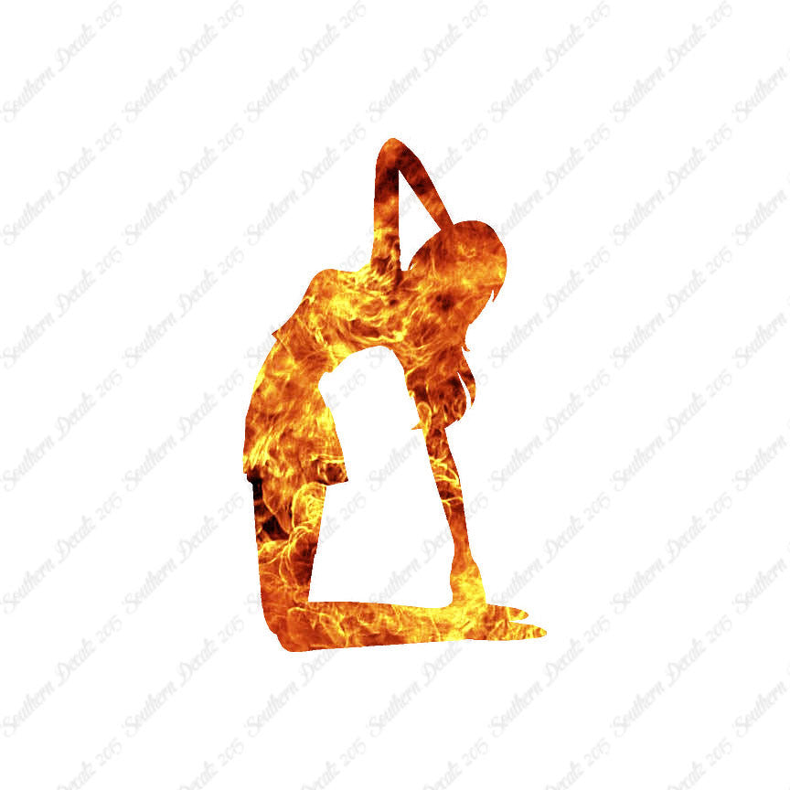 Yoga Meditation Camel