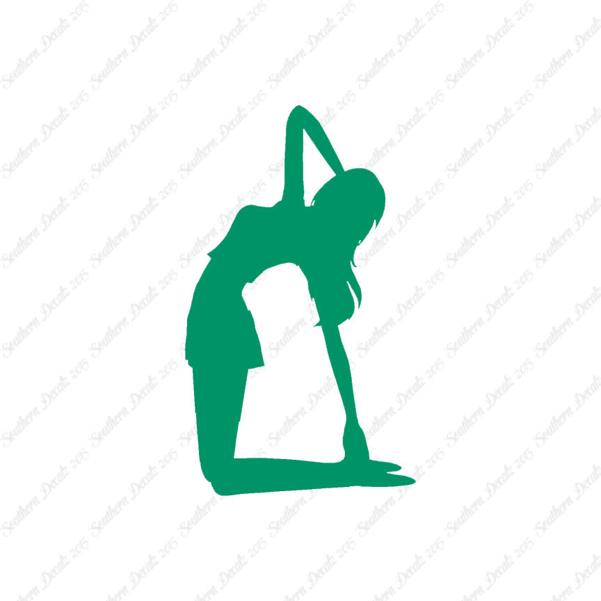 Yoga Meditation Camel
