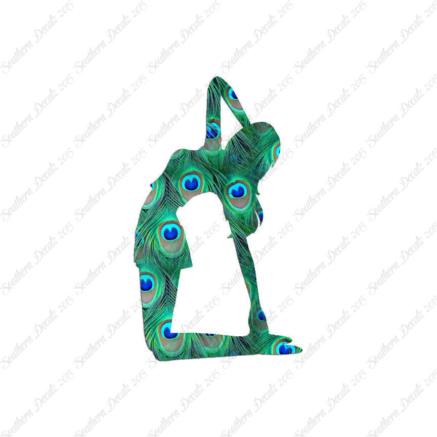Yoga Meditation Camel