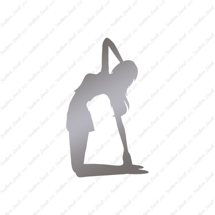 Yoga Meditation Camel
